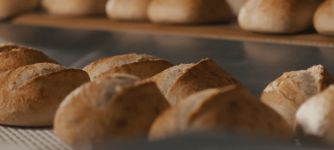 Freshly baked bread loaves on baking sheets. In the foreground, golden-brown round loaves are visible, while in the background, rows of oblong bread rolls can be seen. The image captures the texture and warmth of freshly baked bread in a bakery or kitchen setting.